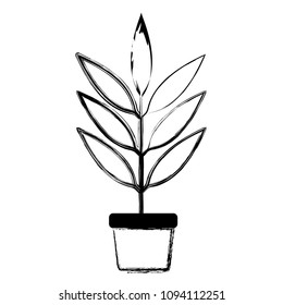 branch with leafs in pot decorative icon