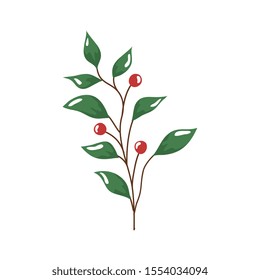 branch with leafs and seeds isolated icon vector illustration design