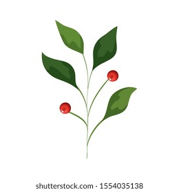 branch with leafs and seeds isolated icon vector illustration design
