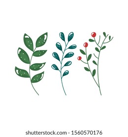 branch with leafs and seeds isolated icon vector illustration design