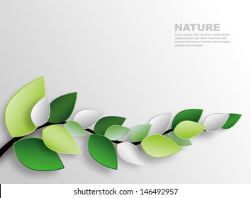 branch and leaves