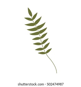 branch with leaves