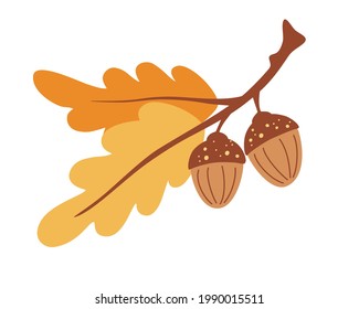 Branch with leaves and acorns. Oak. Autumn time. Forest object. Harvest time. Flat cartoon colorful vector illustration.
