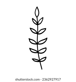 Branch with Leaves. Autumn Doodle. Hand drawn sketch isolated on white background. Vector Illustration. EPS10