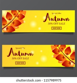 branch leaves autumn fall with yellow background .sale offer banner template. vector illustration