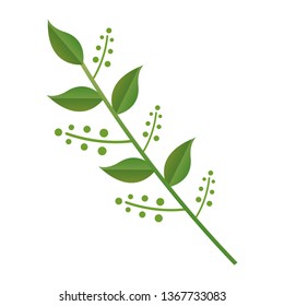branch leaves berries