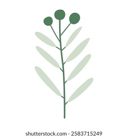 Branch with leaves and berries, isolated,green, vector illustration, design
