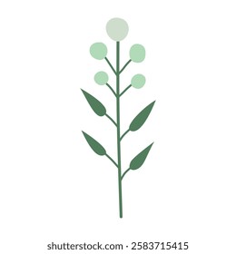 Branch with leaves and berries, isolated,green, vector illustration, design
