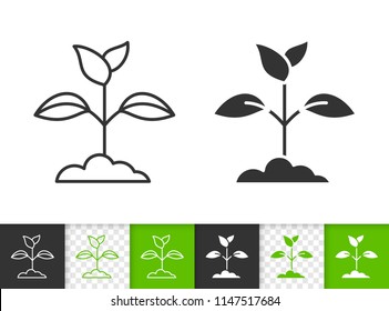 Branch Leaves black linear and silhouette icons. Thin line sign of sprout. Grass outline pictogram isolated on white, green transparent backdrop. Vector Icon shape. Branch Leaves simple symbol closeup