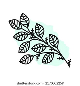 A branch with leaves. Black outline. Vector. Graphics. Colored background. 