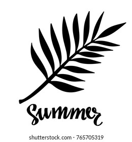 Branch with leaves. Black silhouette isolated on white background. Summer handwritten font