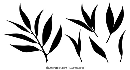 Branch, leaves black silhouettes set. Isolated on white background hand drawn