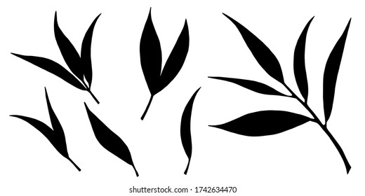 Branch, leaves black silhouettes set. Isolated on white background hand drawn