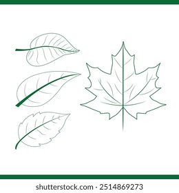 Branch, leaves black silhouettes set. Isolated on white background hand drawn, Nature logo design template with line art and leaf element 