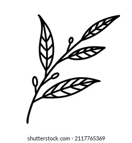 Branch with leaves, buds vector icon. Hand drawn illustration isolated on white backdrop. Outline of a spring twig with veiny leaves. Botanical sketch, nature clipart for decoration and design 