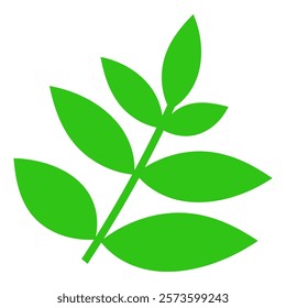 Branch with leaves. Cartoon green leaves illustration for design and decoration. Vector isolated on white background.