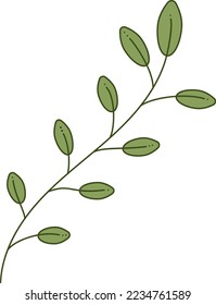 Branch with leaves. Doodle color branch with several leaves. Cartoon vector illustration.