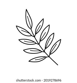 A branch with leaves in the doodle style. The concept of a new crop. Vector element in outline style in black. It is perfect as an icon, label, postcard or decor