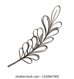 Branch with leaves in doodle style. Decorative plant element for greeting cards, invitations and much more. Outline vector illustration isolated on white background.