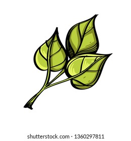 Branch with leaves in doodle style. Decorative plant element for greeting cards, invitations and much more. Vector illustration isolated on white background.