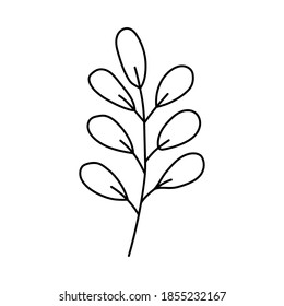Branch with leaves. Doodle vector illustration. Hand drawn single element isolated on white background. For greeting cards, posters, stickers and seasonal designs.