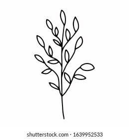 Branch with leaves drawing a line. Contour drawing made by hand.Floral design, for decoration, bouquets, decoration. Doodles. Black and white image. Isolated on a white background. Vector image.