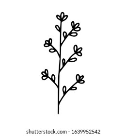 Branch with leaves drawing a line. Contour drawing made by hand. Floral design, for decoration, bouquets, decoration. Doodles. Black and white image. Isolated on a white background. Vector image