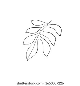 Branch with leaves drawn in one continuous line, a botanical silhouette in a minimalist style