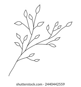 Branch with leaves, ecology or spring element, doodle style flat vector outline for coloring book