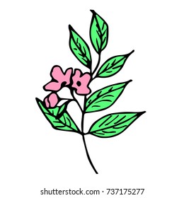 Branch with leaves and flowers vector illustration. Doodle style. Design, print, logo, symbol, decor, textile, paper.