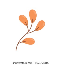 branch leaves foliage natural on white background vector illustration