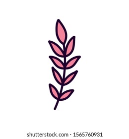 branch leaves foliage natural on white background vector illustration