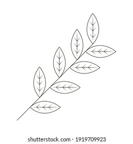 branch leaves foliage nature vector illustration line icon white background