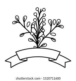 branch leaves foliage seeds botanical line image