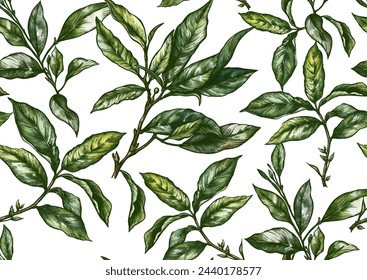 Branch with leaves of green tea. Seamless pattern, background. Vector illustration. In botanical style