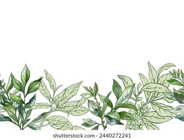 Branch with leaves of green tea. Seamless pattern, background. Vector illustration. In botanical style