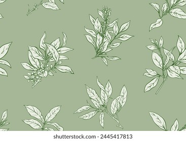 Branch with leaves of green tea. Seamless pattern, background. Vector illustration. In botanical style