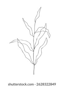 Branch with leaves hand drawn contour sketch, doodle outline. Isolated on white background. Vector illustration