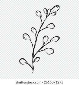 Branch with leaves hand drawn illustration. Floral element design. Hand drawn botanical illustration