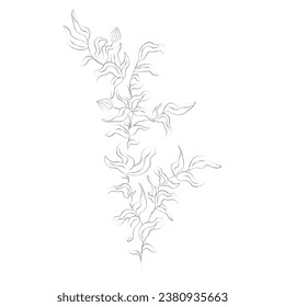 branch with leaves hand drawn line drawing vector