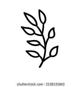 Rama con hojas. Vector de tracción manual aislado Dibujo botánico.