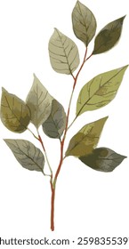 branch of leaves hand-drawn isolated vectorized watercolor illustration