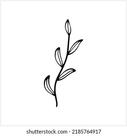 Branch with leaves icon isolated. Eco clip art. Laurel vector stock illustration. EPS 10