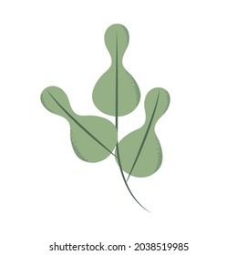 Zweig mit Blättern einzeln auf Symbol