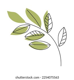 Branch with leaves Isolated on a white background. Flat style with line. Minimal flora design. Vector illustration.