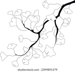 Ein Zweig mit Blättern, Linienkunst, Pflanzenmustern. Ginkgo-Biloba, Heilpflanzen.