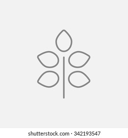 Branch with leaves line icon for web, mobile and infographics. Vector dark grey icon isolated on light grey background.