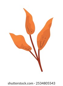 Rama deja elemento de naturaleza aislado