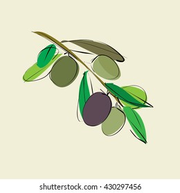 branch with leaves and olives