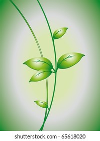 A branch with leaves on a green background. Vector illustration
